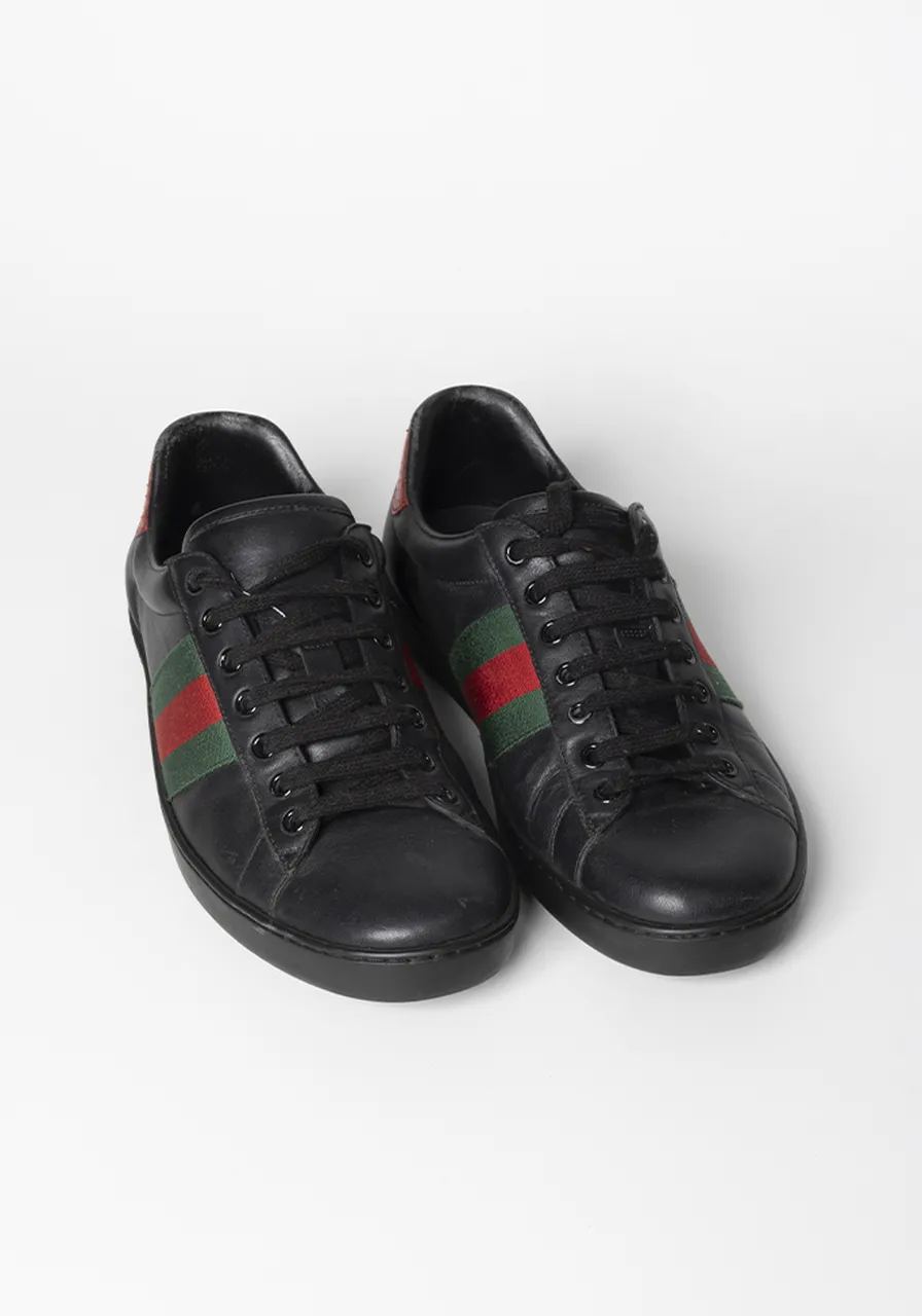 Tênis Gucci Web 