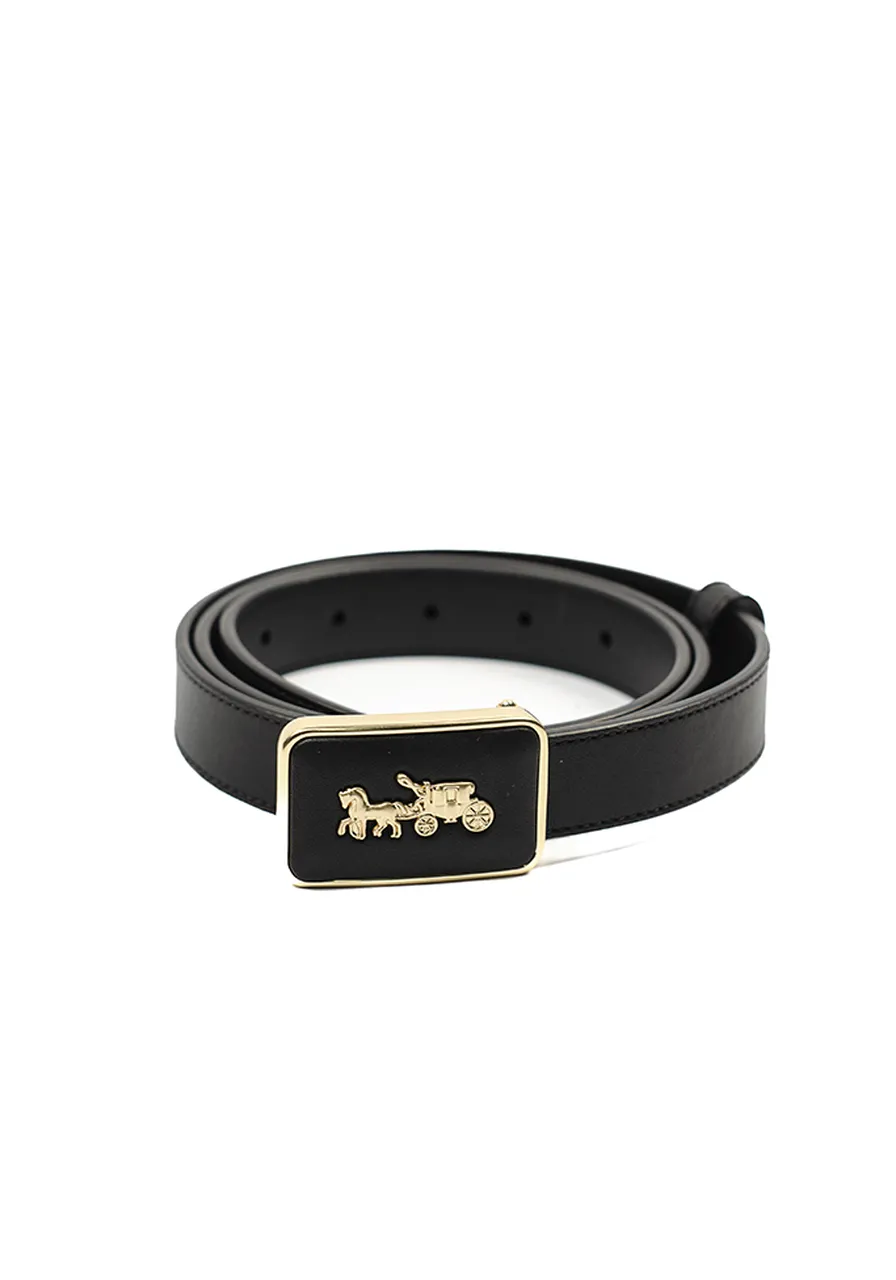Cinto Coach Horse & Carriage