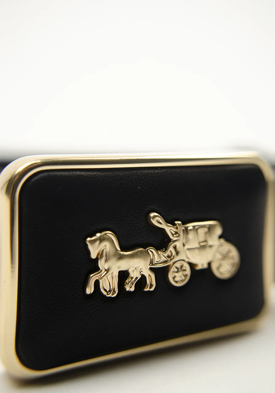 Cinto Coach Horse & Carriage