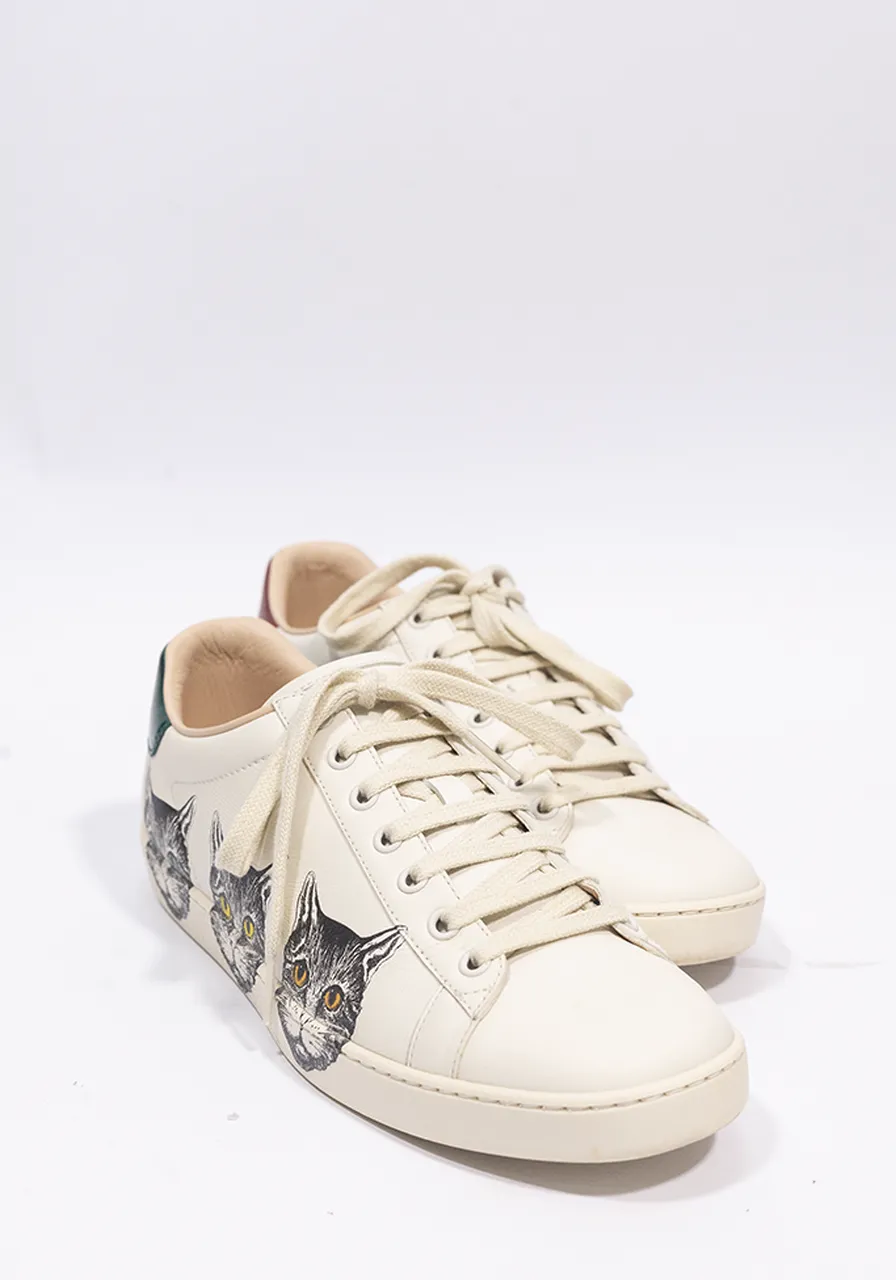 Tênis Gucci Ace Cats Off-White