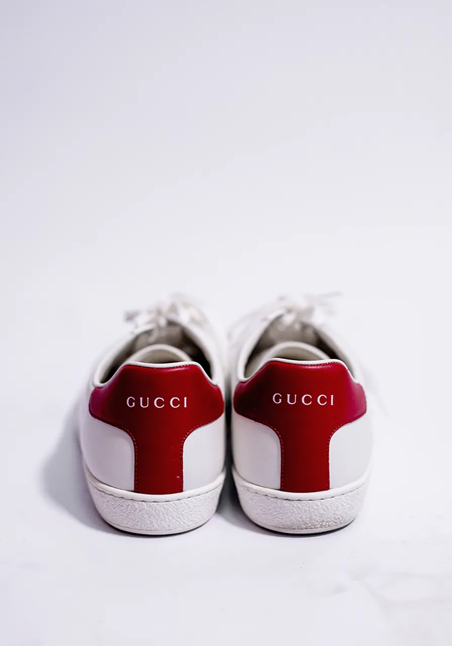 Tênis Gucci Ace