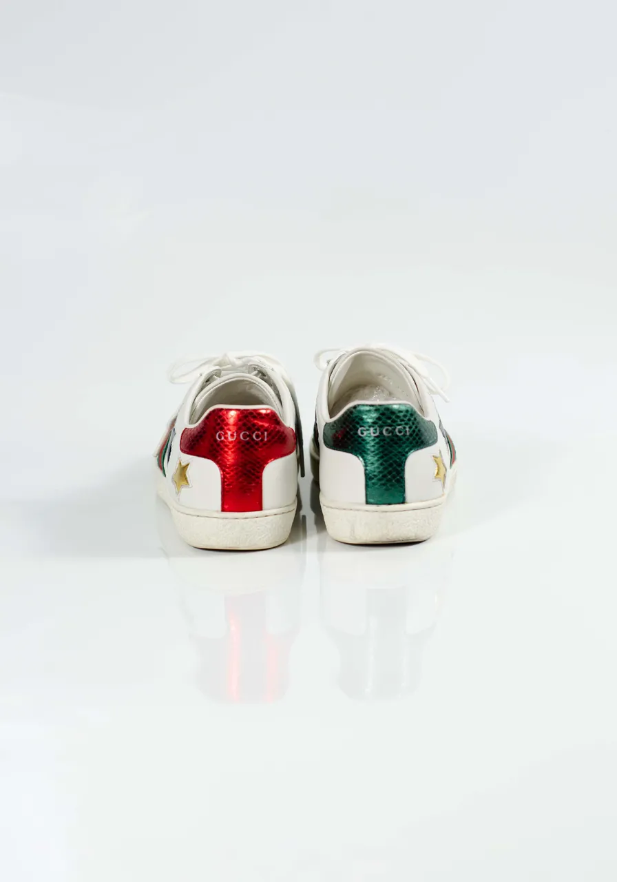 Tênis Gucci Calfskin Ayers Web Star