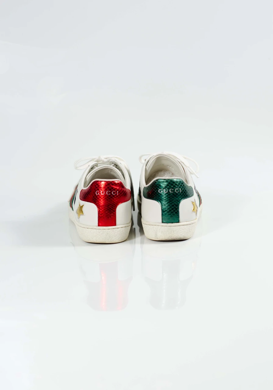 Tênis Gucci Calfskin Ayers Web Star