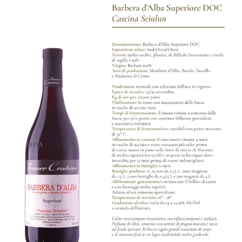 Barbera d’Alba Superiore D.O.C "Cascina Sciulun" 2020 Franco Corterno
