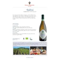 Vermentino Toscano IGT  2020 BellOvile Serego Alighieri  - imagem 3