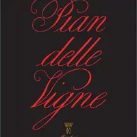 Brunello di Montalcino DOCG 2017 Pian delle Vigne  - imagem 1