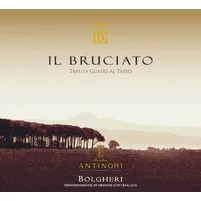   IL Bruciato Bolgheri 2021 Guado al Tasso - imagem 2