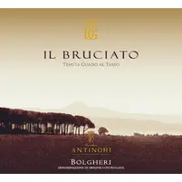   IL Bruciato Bolgheri 2021 Guado al Tasso - imagem 2