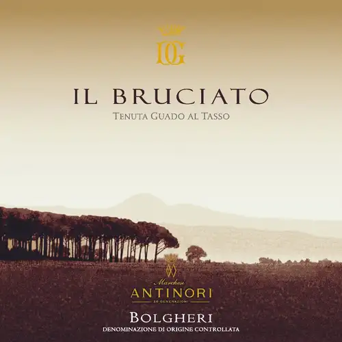   IL Bruciato Bolgheri 2021 Guado al Tasso