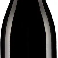 Schubert Pinot Noir 2020 - imagem 1