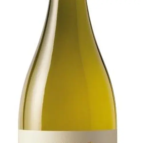 Garzón Single Vineyard Albariño 2022