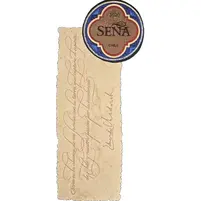 Seña Chadwick 2022 - imagem 2