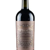 Malbec Gualtallary AltaLuvia 2018 - imagem 1