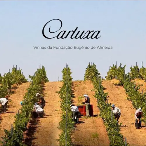 Vinho Branco Português Cartuxa Colheita 2022