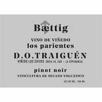 Baettig Vino de Viñedo “Los Parientes” Chardonnay 2022 - imagem 2