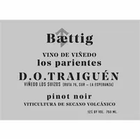 Baettig Vino de Viñedo “Los Parientes” Chardonnay 2022 - imagem 2