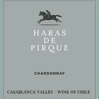 Haras de Pirque Chardonnay 2021 - imagem 1
