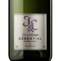 Cava Juvé & Camps Essential Púrpura Reserva Brut – 2019 - imagem 2