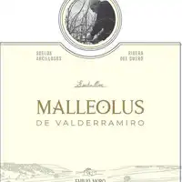 Bodegas Emilio Moro Malleolus de "Valderramiro" 2018 - imagem 1