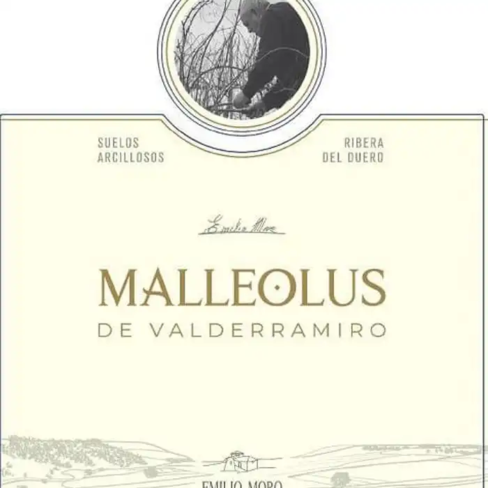 Bodegas Emilio Moro Malleolus de "Valderramiro" 2018