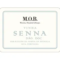 M.O.B. Moreira Olazabal & Borges Senna Branco 2022 - imagem 2