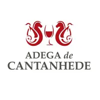 Villa Rosa Gran Reserva Branco 2022 - imagem 2