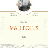 Bodegas Emilio Moro "Malleolus"2020 Magnum - imagem 1