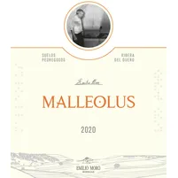 Bodegas Emilio Moro "Malleolus"2020 Magnum - imagem 2