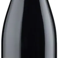 Valpolicella Ripasso D.O.C  Clássico Superiore 2019 Luciano Arduini - imagem 1