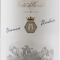  Vitiano Bianco Úmbria IGP Falesco 2020 - imagem 1
