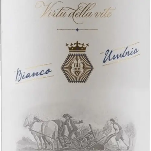  Vitiano Bianco Úmbria IGP Falesco 2020