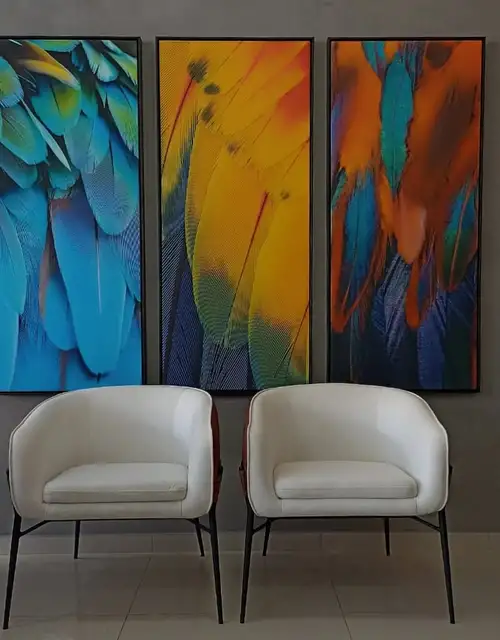 categoria Categoria 7