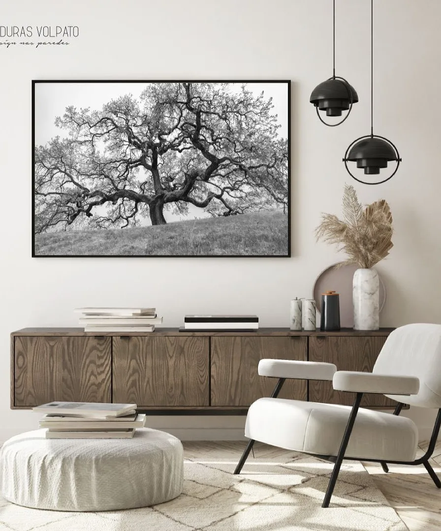 Quadro Decorativo Árvore Antiga