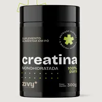 CREATINA MONOHIDRATADA EM PÓ - 100% PURA (300G) - imagem 1